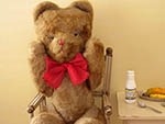 br-a02099 Bebe Teddy Ours シャテーニュモヘアウルス ¥ 24,600 