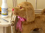 br-a02108 Baby Terrier Hund ベービテリアフント ¥ 9,600 