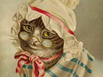 ot-a01046 Grandma Cat Chromo グランマキャットカード ¥ 4,600